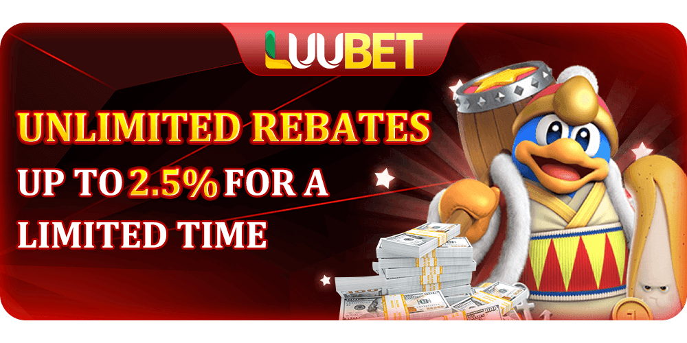 Unlimited rebates up to 2 5for a limited time